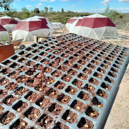 Cultivos Sustentables en Domos